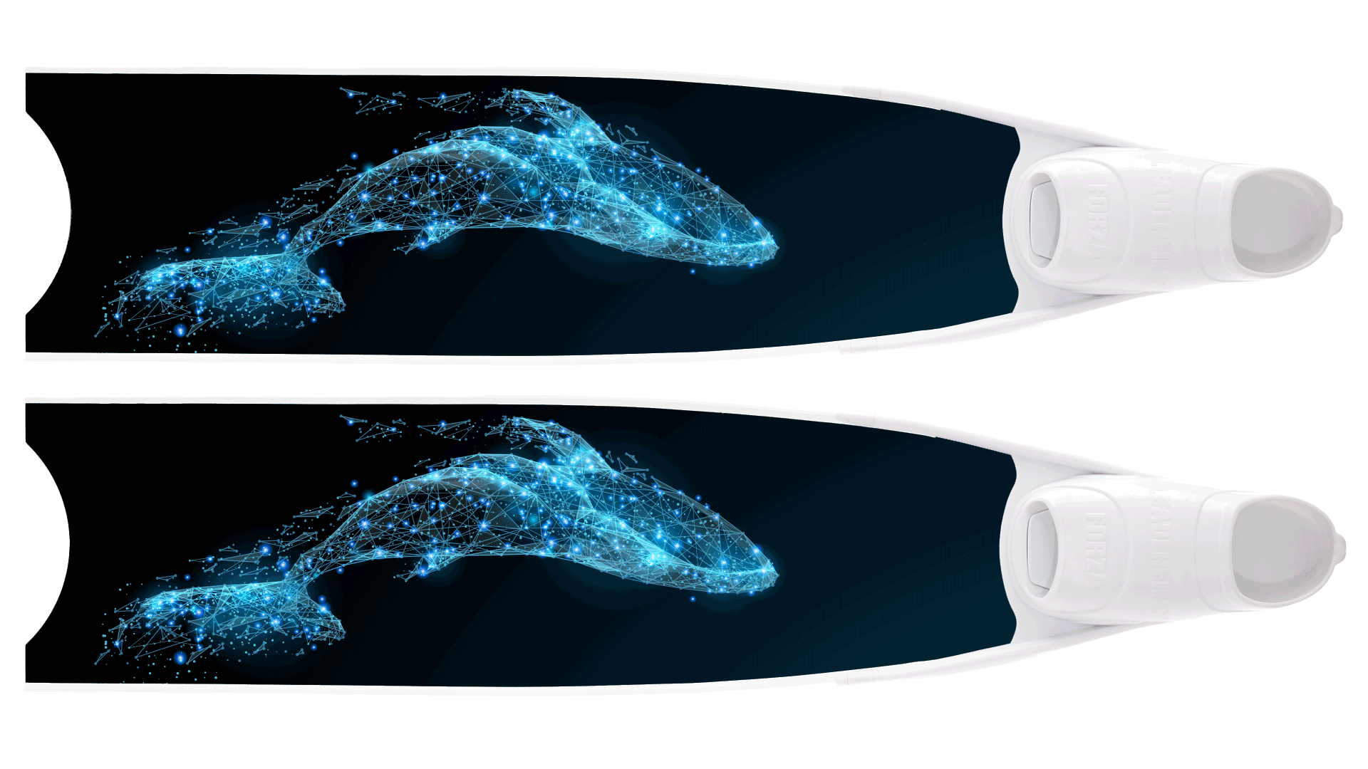 リーダーフィンズ 2020 BLUE COLOUR ロングフィン-